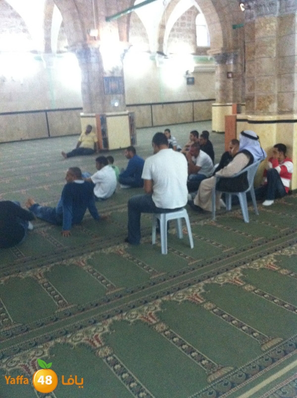 3omraludramla315 (3).jpg